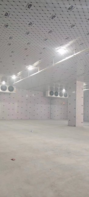 博翎种业公司冷库